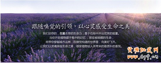 T2014090511205019480_550215[1]