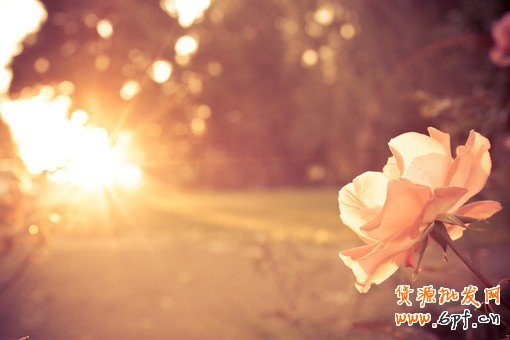 開淘寶店之前你必須知道這些事