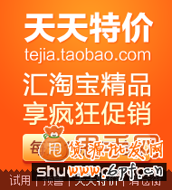 天天特價如何優(yōu)化寶貝標(biāo)題及頁面4