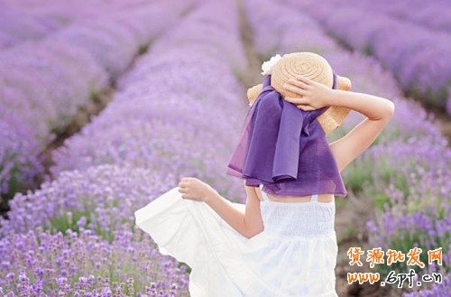 偷師 十分鐘教你如何成功報(bào)名天天特價(jià)1