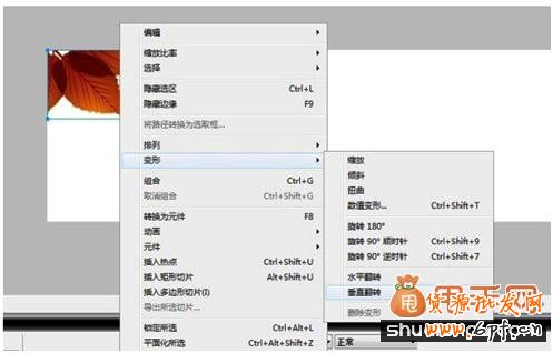 開網(wǎng)店之手把手教你制作寶貝圖片14