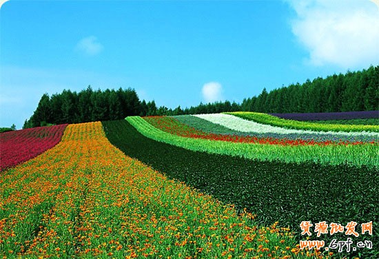 淘寶開店 巧引10倍的流量