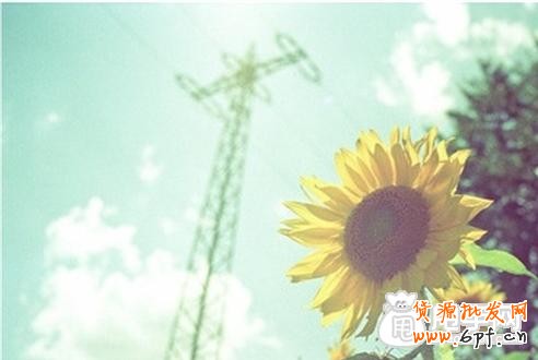 淘搶購只是大賣家的“專屬活動”？