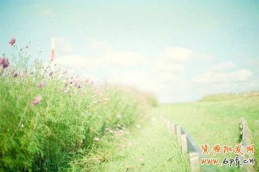 淘寶經(jīng)驗(yàn)