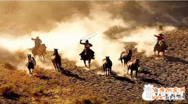 簡單說說流量運營的主動性和爆款