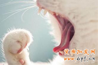 淘寶開店不刷單怎么有高轉化？