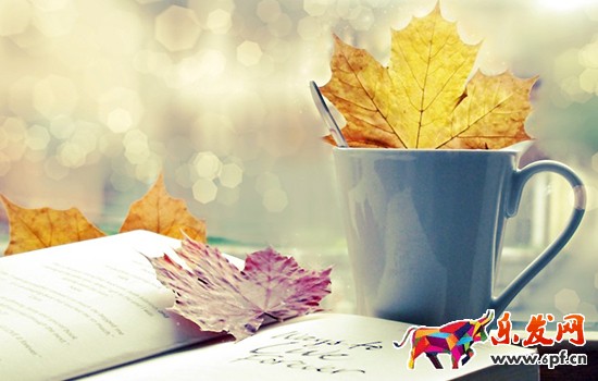 淘寶店主開店六年心得體會