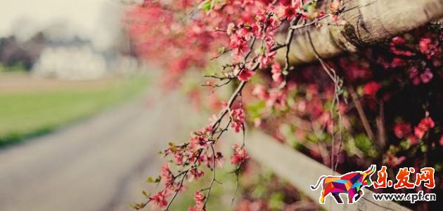 淘寶經(jīng)驗(yàn)分享