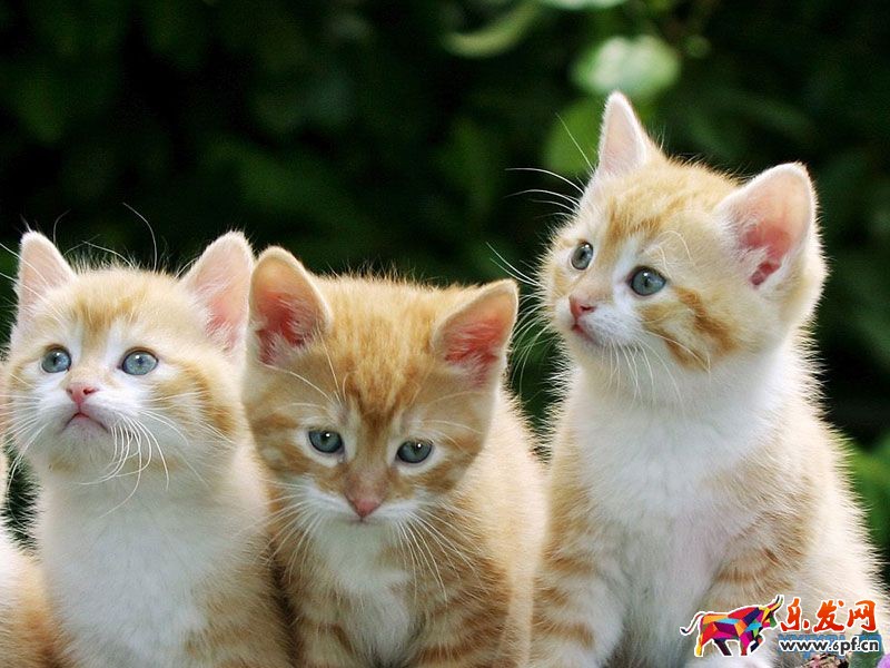 運營好微信公眾號的因素有哪些