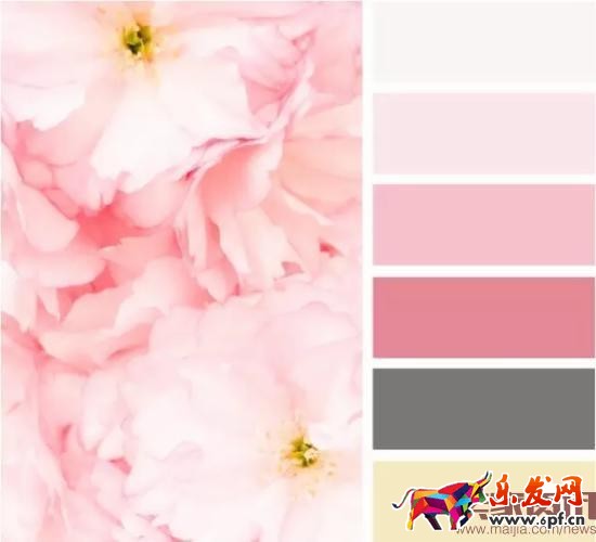 學(xué)會(huì)這些，讓你的店鋪輕松日銷80單