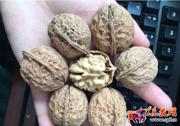 淘寶店鋪運(yùn)營(yíng)