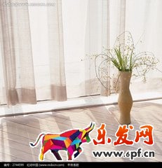 什么是淘寶主圖