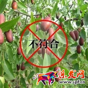 入駐拼多多被駁回