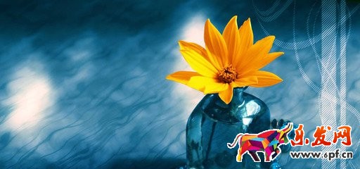 手機淘寶店招圖片如何設置