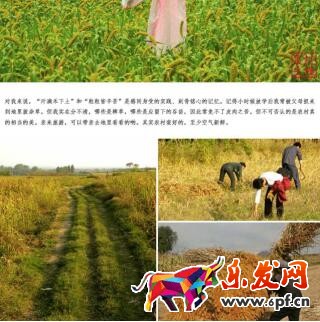 淘寶店經(jīng)歷