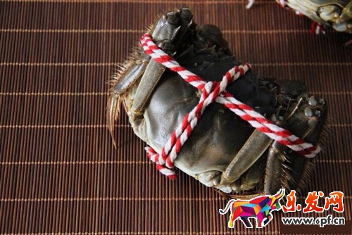 淘寶主圖手機拍攝技巧