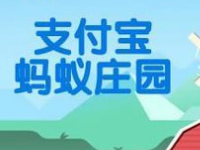 螞蟻莊園怎么防止搶食？支付寶螞蟻莊園怎么養小雞？