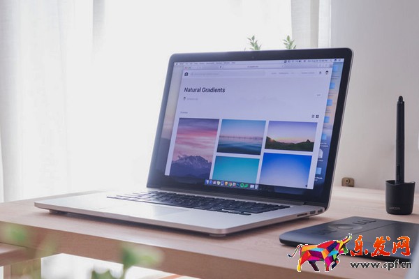 淘寶開店協議有什么需要注意的？70歲能開店嗎？