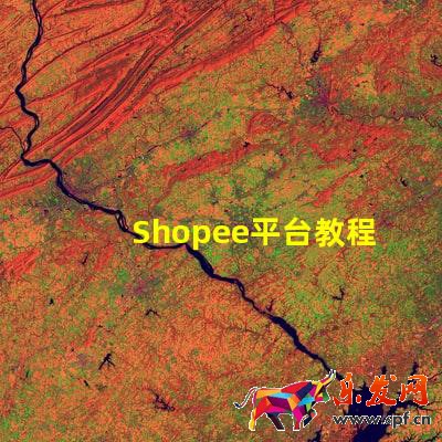 Shopee平臺(tái)教程:Shopee怎么開店?Shopee如何開店鋪呢?