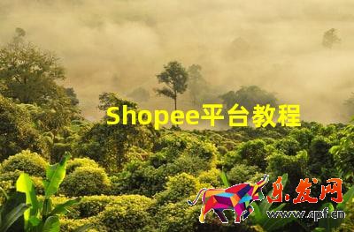 Shopee平臺(tái)教程:Shopee怎么開店?Shopee如何開店鋪呢?