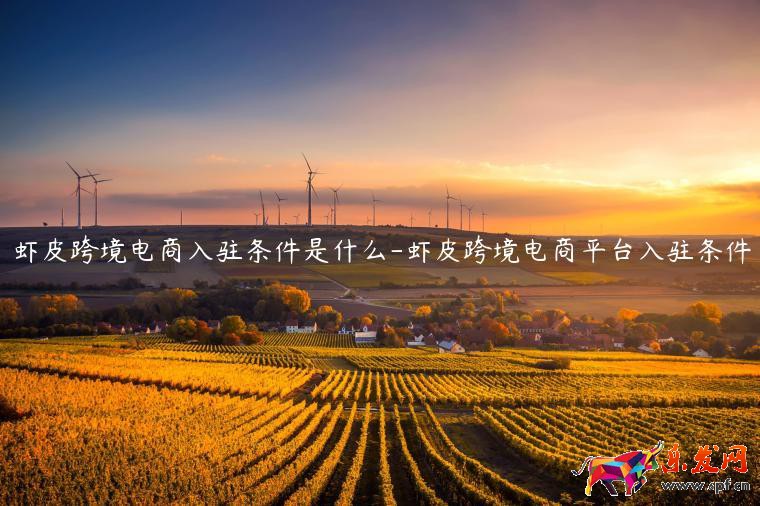 蝦皮跨境電商入駐條件是什么-蝦皮跨境電商平臺入駐條件