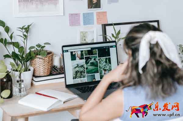 專注小紅書電商知識分享