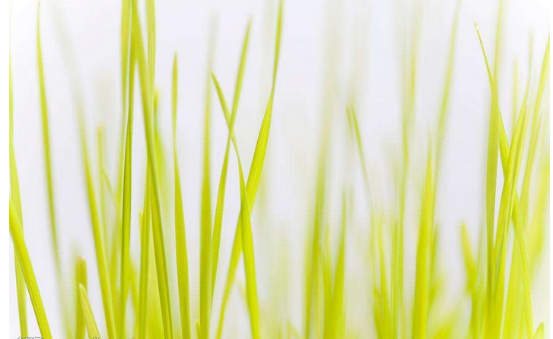 淘寶美工色彩搭配之用色禁區